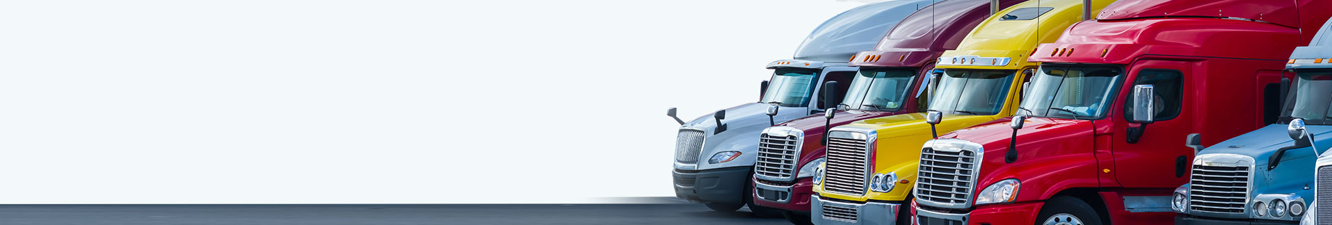 Total Fleet Protection