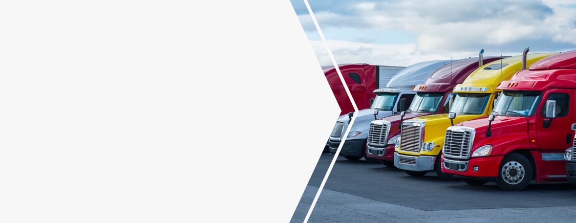 Mobile Total Fleet Protection