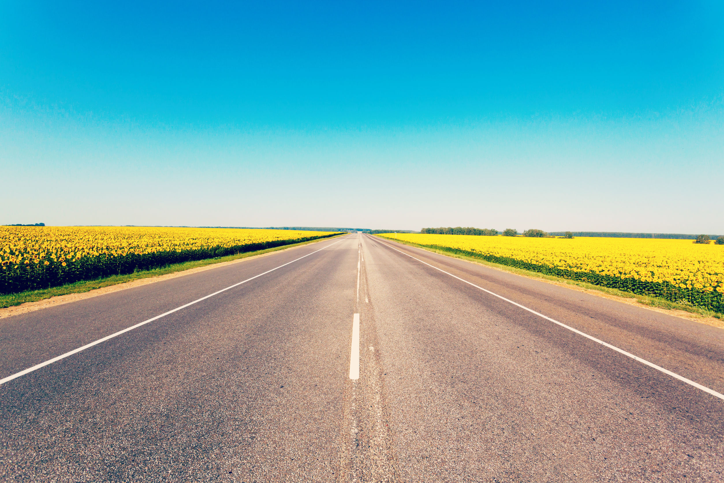 Road Safety Auto Fatality Rate Ranked Lower in 2014 than in 2015 | Reasons Why