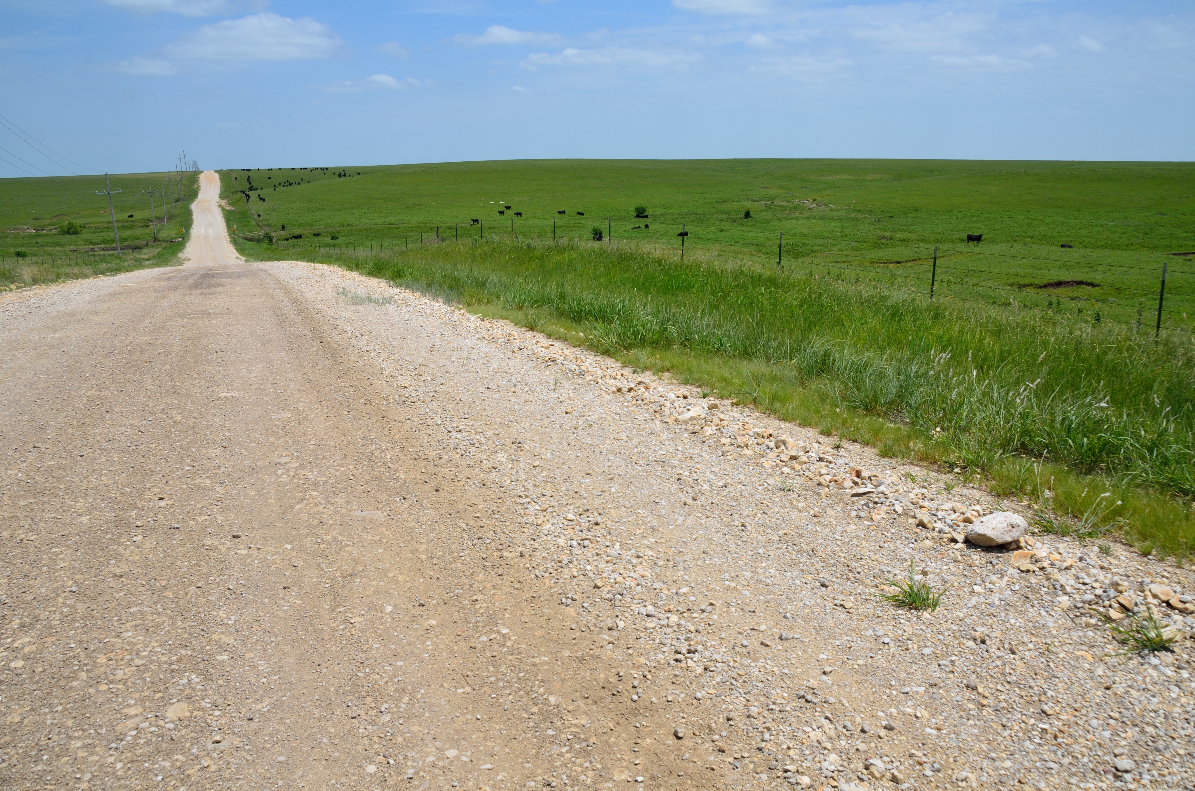 Lowest Gas Prices In Over A Decade: Get Outside!