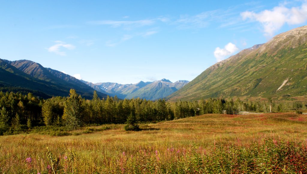 Kenai Peninsula - Rear View Safety