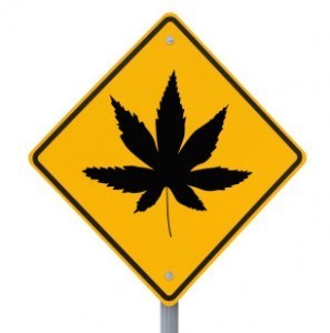 Looser Laws Around Marijuana Worries Road Safety Advocates