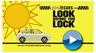 SAFETY EXPERTS SAY | Think This Can't Happen To You? Think Again | Look Before You Lock