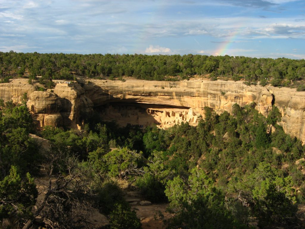 Road Trip - Rear View Safety